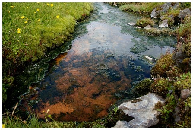 cours d eau (Small).jpg